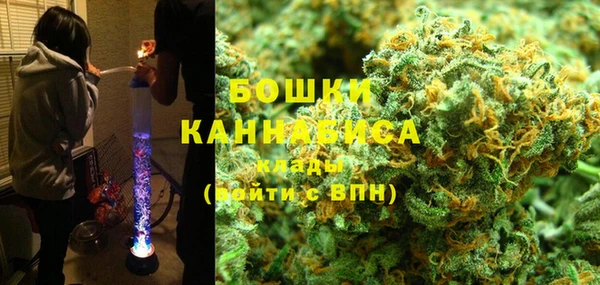 PSILOCYBIN Новодвинск