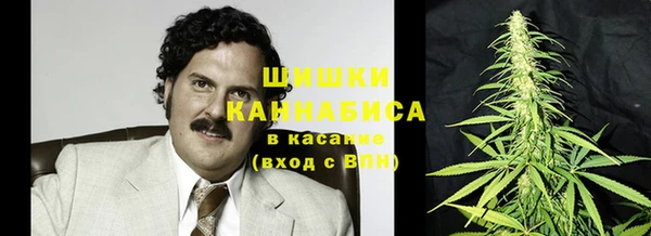 мет Новозыбков