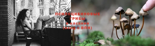 мет Новозыбков
