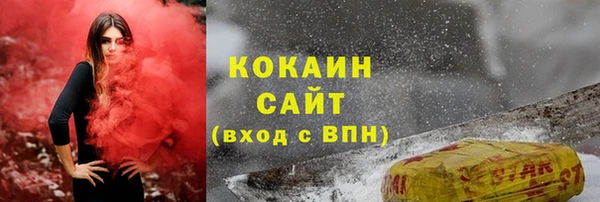 мет Новозыбков