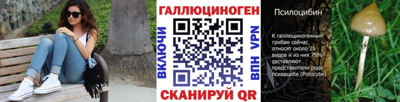 купить закладку  Закаменск  Псилоцибиновые грибы ЛСД 